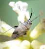 322936 – Photo : Liliane Delattre – France (30)